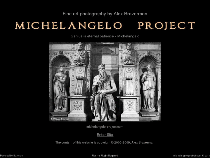 www.michelangelo-project.com