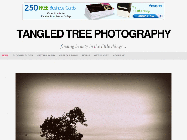 www.tangledtreephotography.com