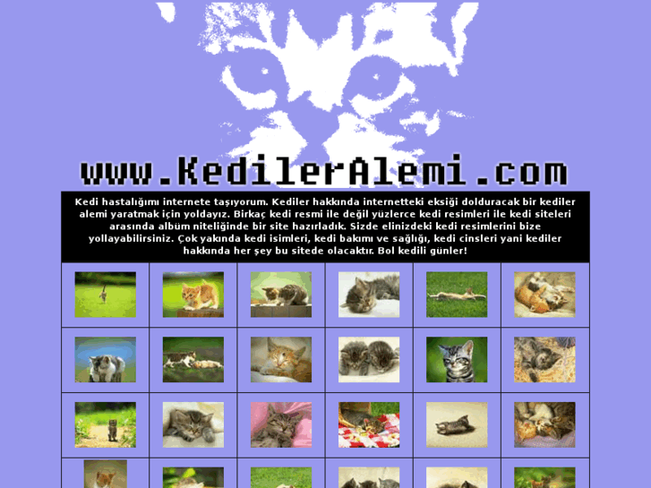 www.kedileralemi.com