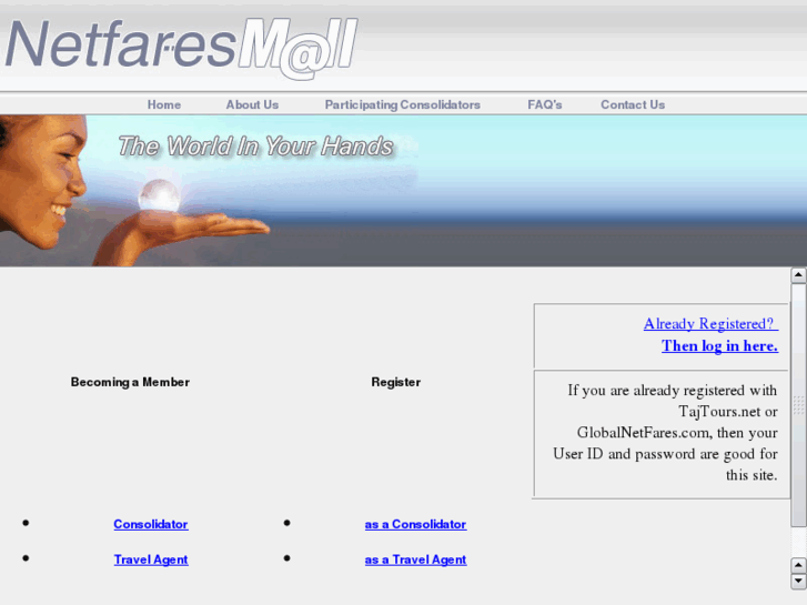 www.netfaresmarket.com