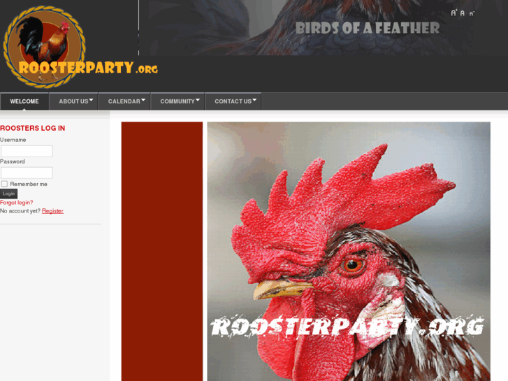 www.roosterparty.org