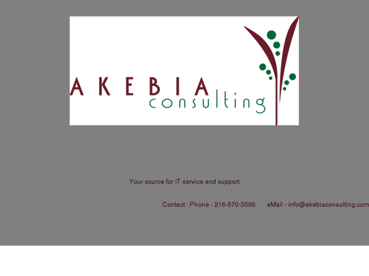 www.akebiaconsulting.net