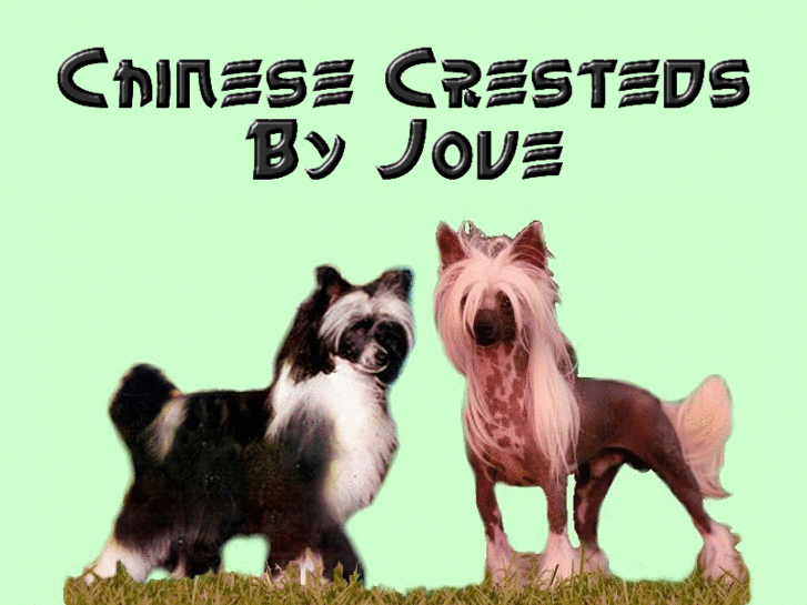 www.chinesecrestedsbyjove.com