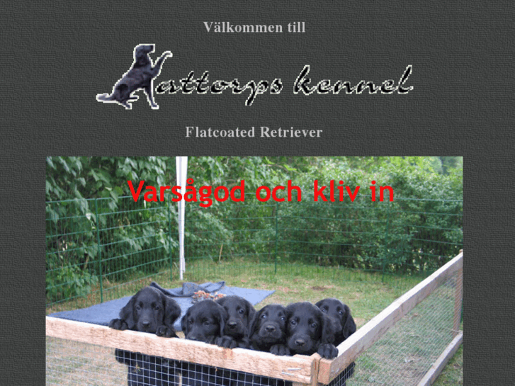 www.kattorpskennel.com