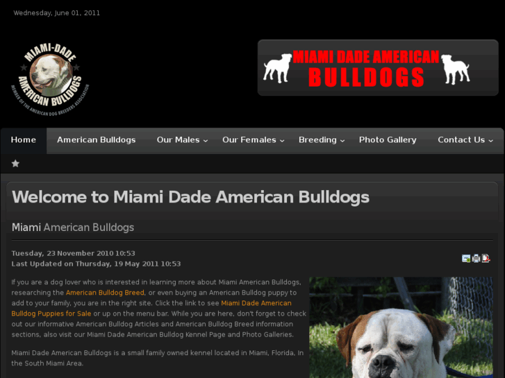 www.miamidadeamericanbulldogs.com