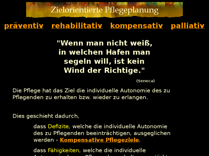 www.pflegeplanung.net