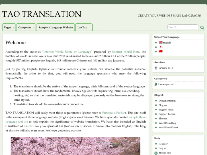 www.taotranslation.com