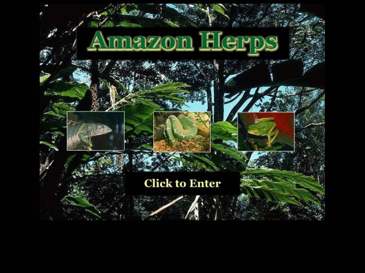 www.amazon-herp.com