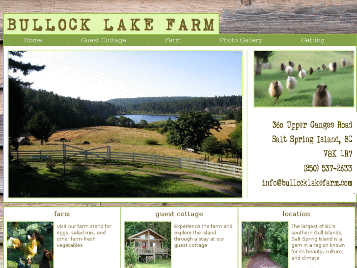 www.bullocklakefarm.com