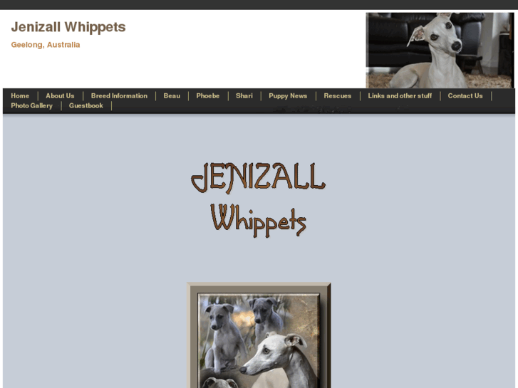 www.jenizall.com