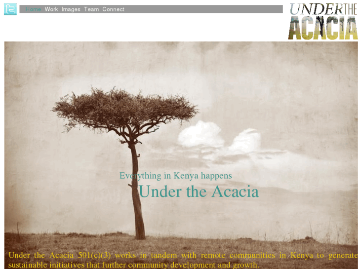 www.undertheacacia.org