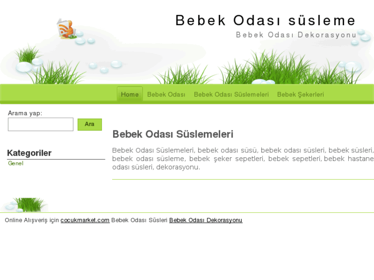 www.bebekodasisusleme.net