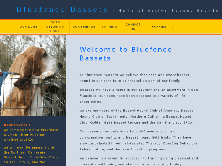 www.bluefencebassets.com