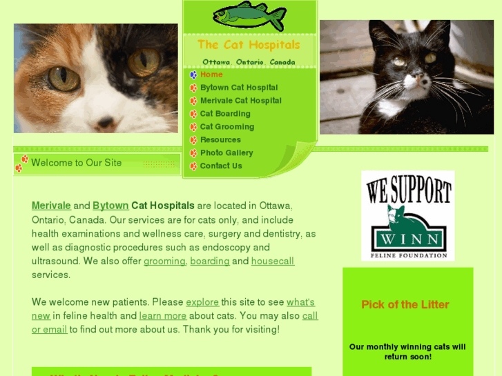 www.cathospitals.net