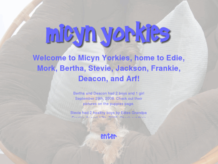 www.micynyorkies.com