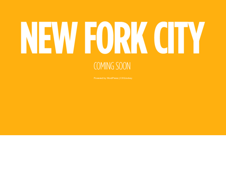 www.newforkcity.com