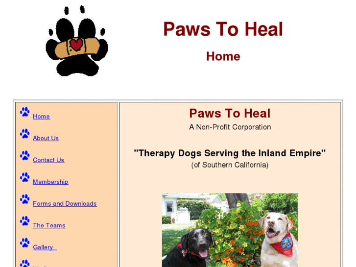 www.pawstoheal.com