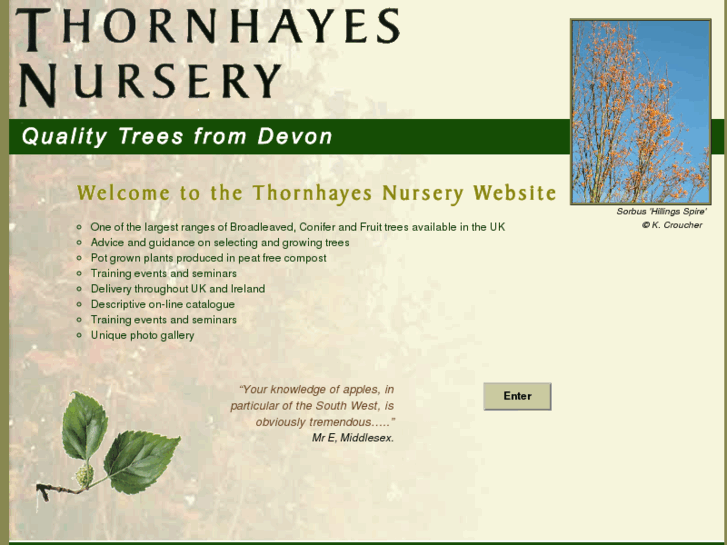 www.thornhayes-nursery.co.uk