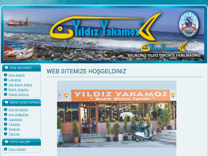 www.yildizyakamoz.com