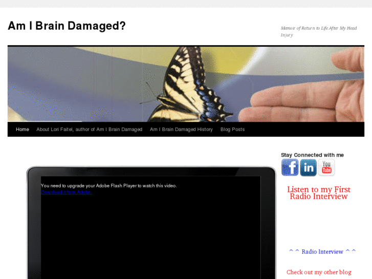 www.amibraindamaged.com