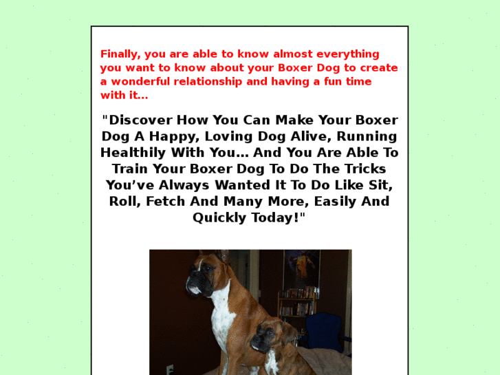 www.boxerdogtips.com