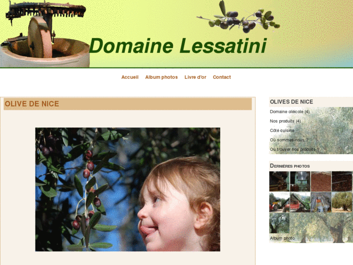 www.domaine-lessatini.com