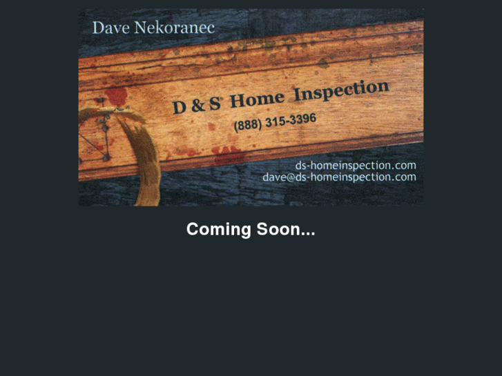 www.ds-homeinspection.com