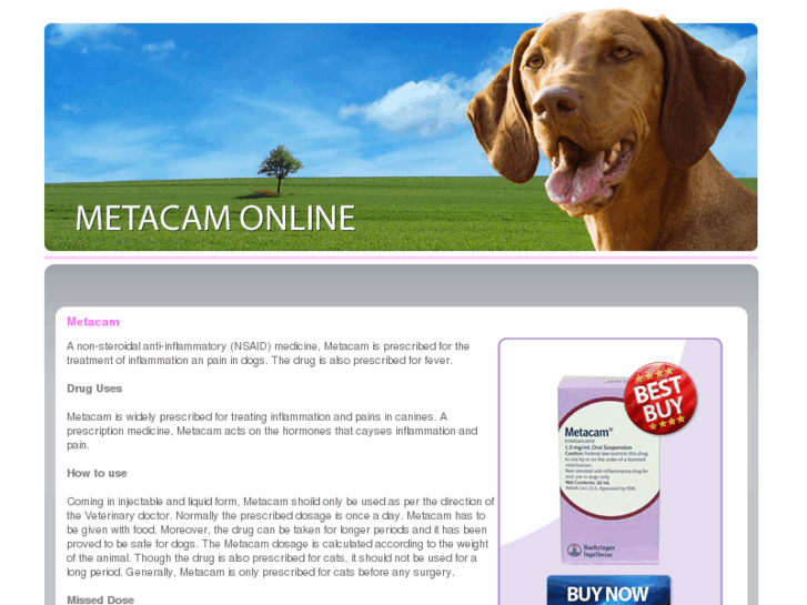 www.metacamonline.net