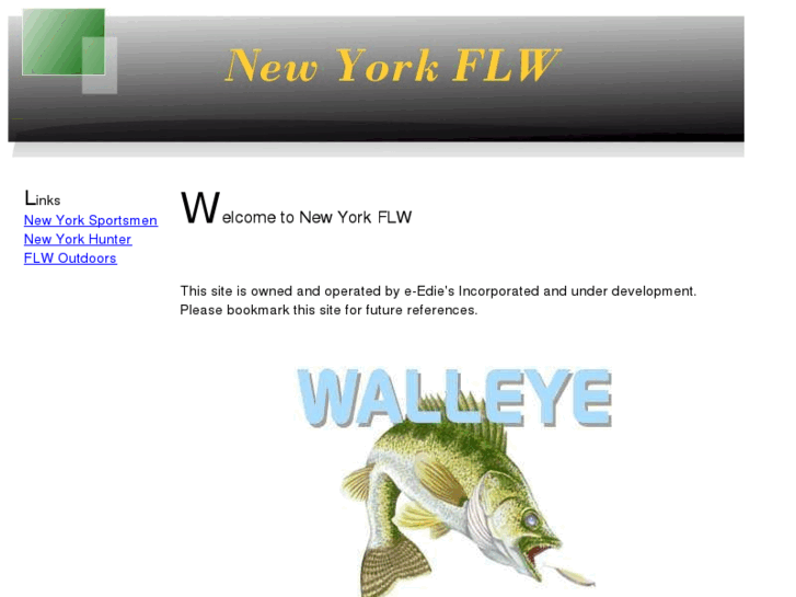 www.nyflw.com