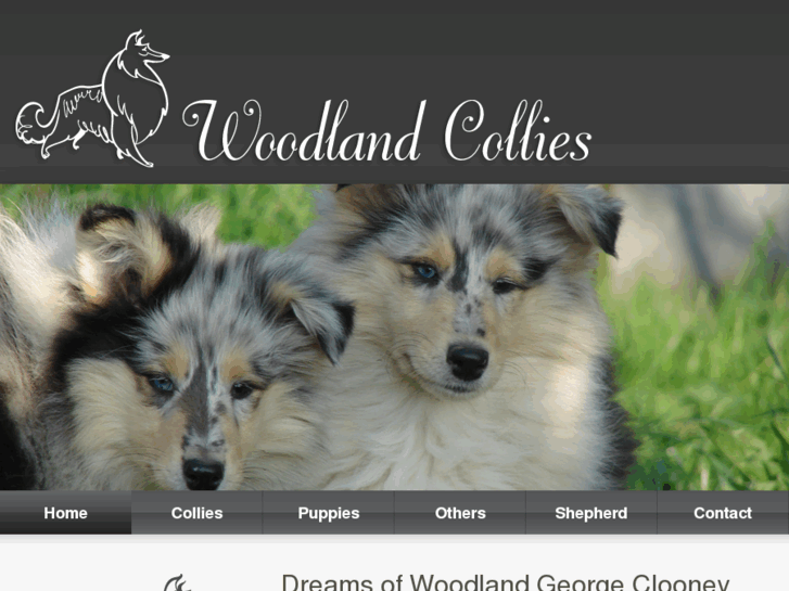 www.woodlandcollies.dk