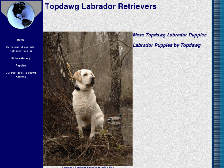 www.topdawglabs.net