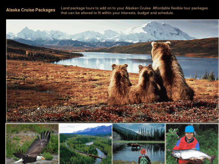 www.alaskacruisepackages.com