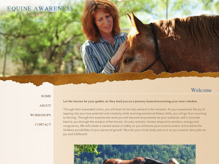 www.equine-awareness.com