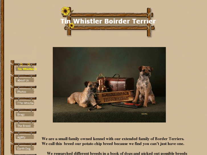 www.tinwhistlerborderterriers.com