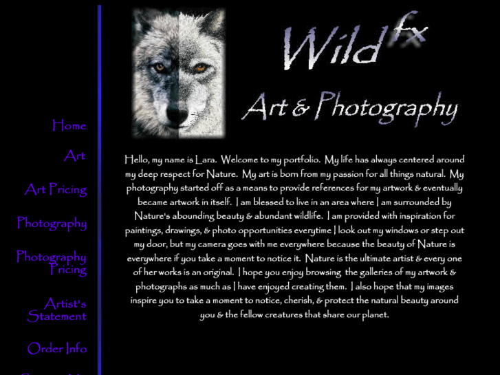 www.wildfxstudio.com