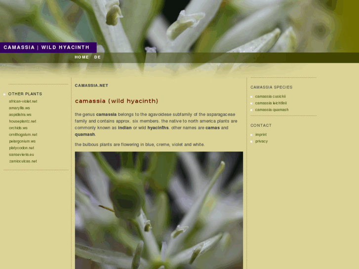 www.camassia.net