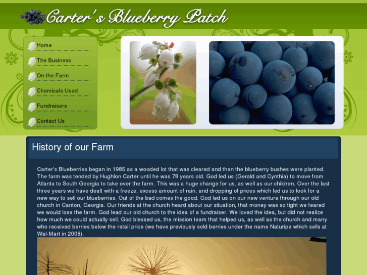 www.cartersblueberries.com