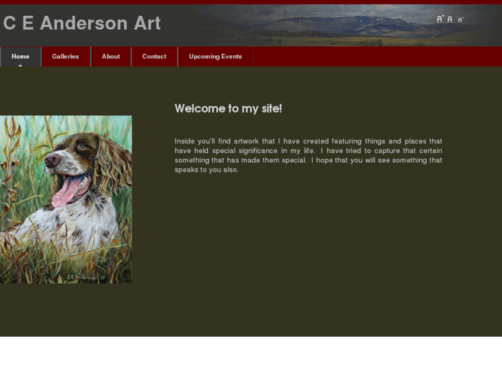 www.ceandersonart.com