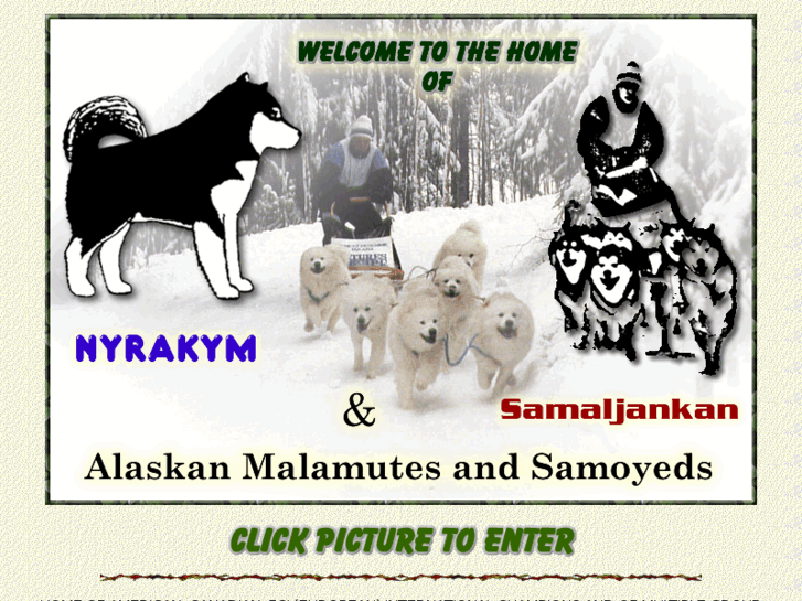 www.nyrakymsamaljankan.com