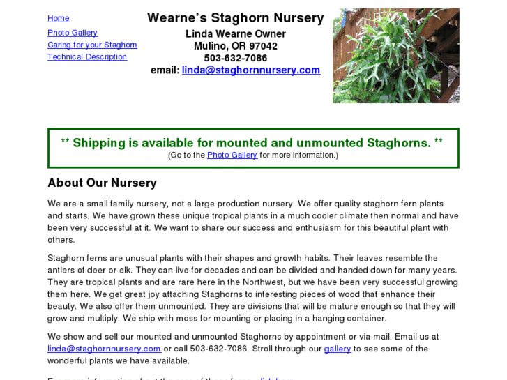 www.staghornnursery.com