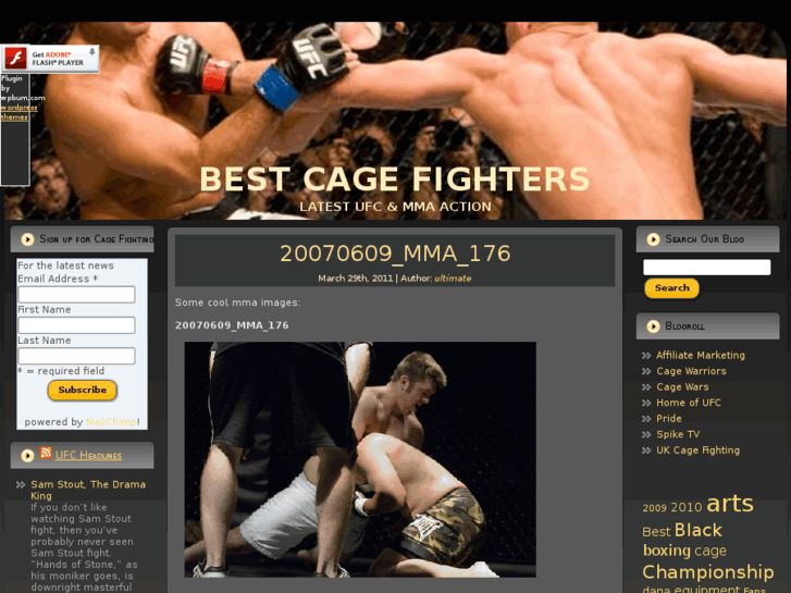 www.bestcagefighters.info