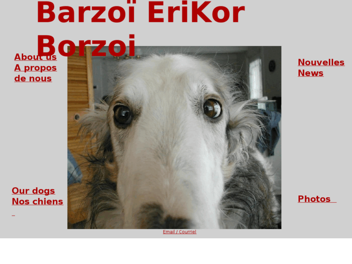 www.erikorborzoi.com