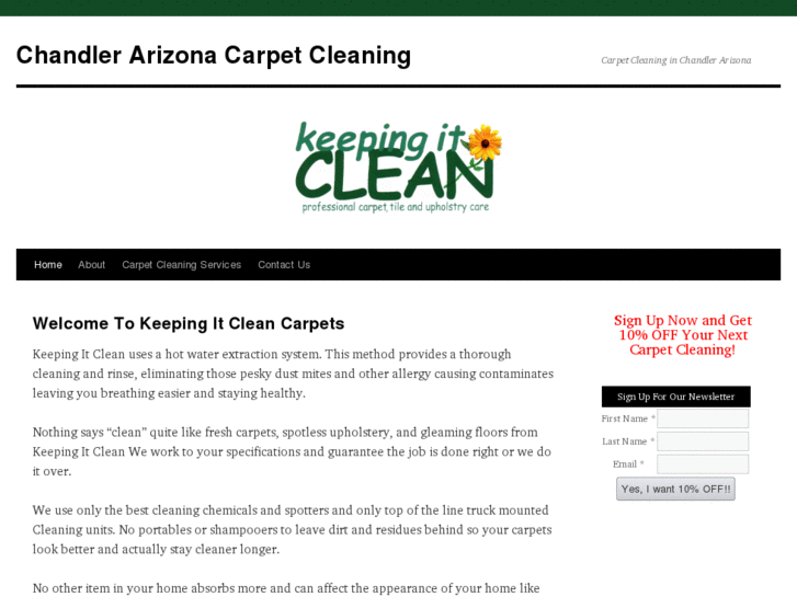 www.keepingitcleancarpet.com