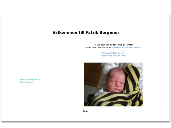 www.patrikbergman.com