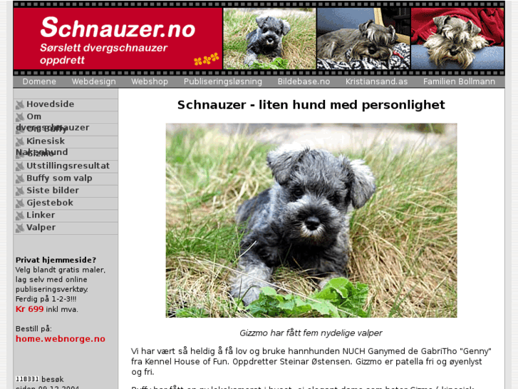 www.schnauzer.no