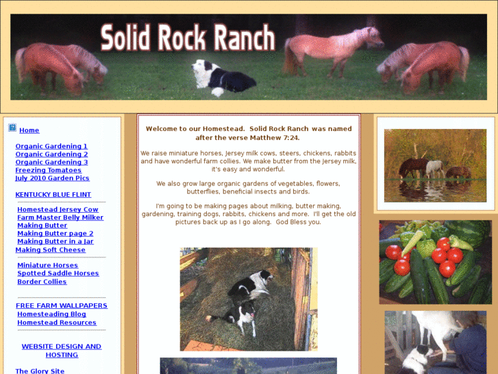 www.solidrockhomestead.com