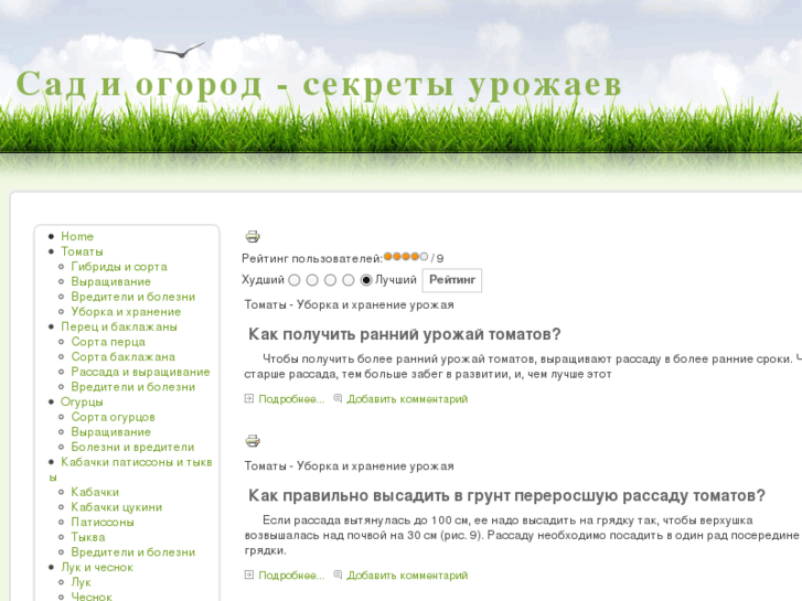 www.zsadiogorod.ru