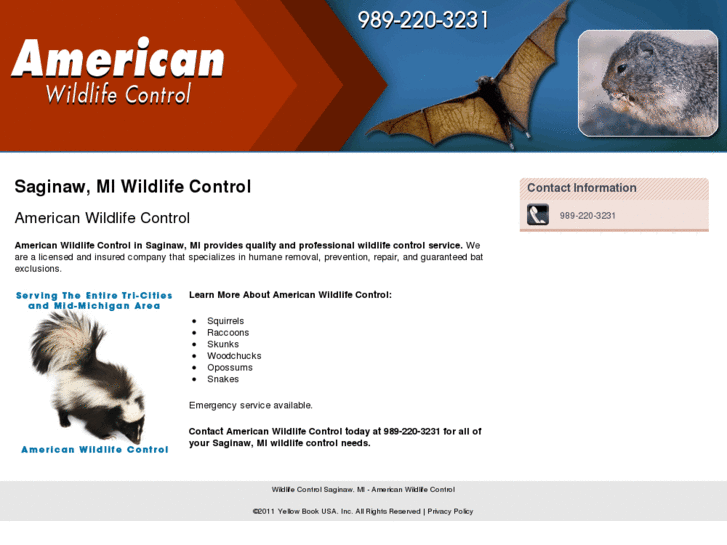 www.americanwildlifecontrol.biz