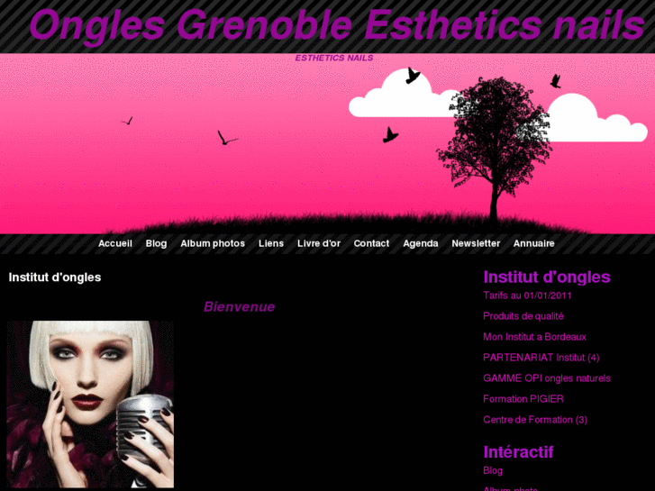 www.estheticsnails.com