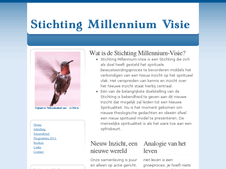 www.millennium-visie.org